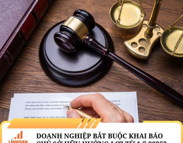 Doanh Nghiệp Bắt Buộc Khai Báo Chủ Sở Hữu Hưởng Lợi – Bạn Cần Biết Gì?