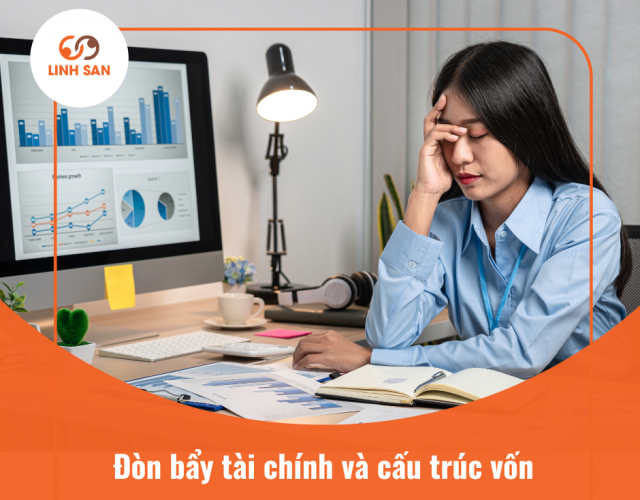 Đòn bẩy tài chính và cấu trúc vốn