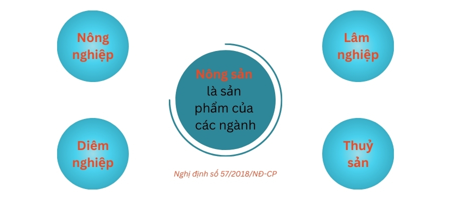 Nông sản là sản phẩm của các ngành (Nguồn: Tổng Cục Thuế)