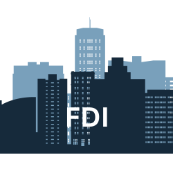 THÀNH LẬP DOANH NGHIỆP FDI